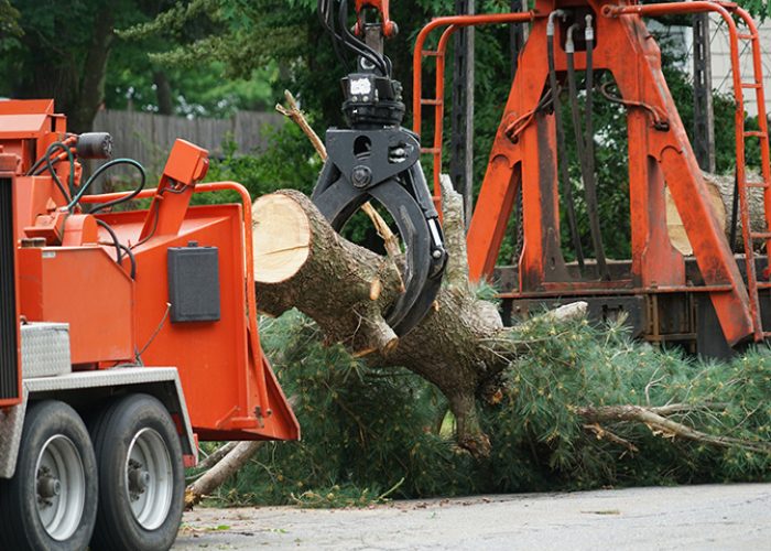 removed-tree-trunk-by-crane-in-residential-area